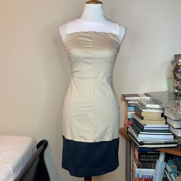 The Limited Color Block Sleeveless Bodycon Dress (Size: 0) - Picture 3 of 16